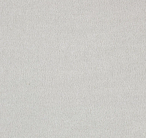 Ковролин AW Sentiment 90 фото 1 | FLOORDEALER